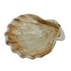 Блюдо 13 см, 100 мл. керамика "Frutti di Mare" P.L.Артикул: 81221990
