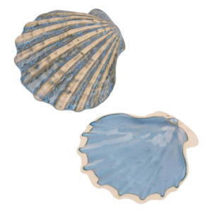 Блюдо 13 см,керамика «Frutti di Mare» P.L. Арт.81241250 Блюдо 13 см,керамика "Frutti di Mare" P.L. Арт.81241250