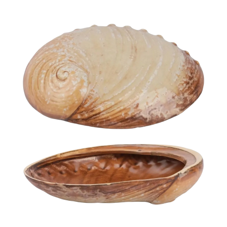 Тарелка 19*14,5 см, 365 мл, керамика "Frutti di Mare" P.L. Арт.81241256